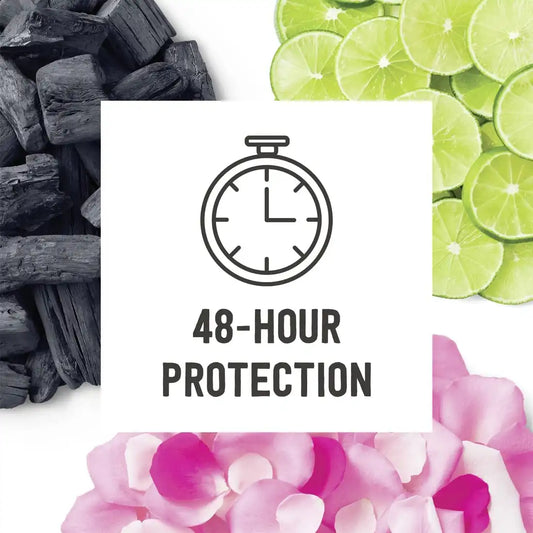 Schmidt's Aluminum Free Natural Deodorant Bergamot & Lime 2 count 2.65 oz